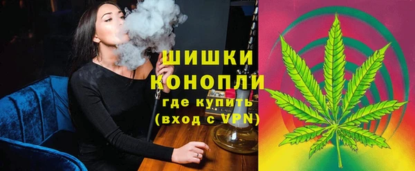 ПСИЛОЦИБИНОВЫЕ ГРИБЫ Верхний Тагил