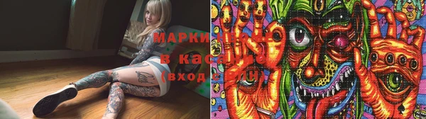 ПСИЛОЦИБИНОВЫЕ ГРИБЫ Верхний Тагил