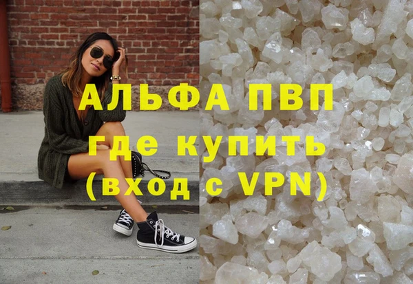 ПСИЛОЦИБИНОВЫЕ ГРИБЫ Верхний Тагил