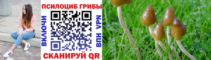 Купить  Николаевск  Псилоцибиновые грибы мухоморы 